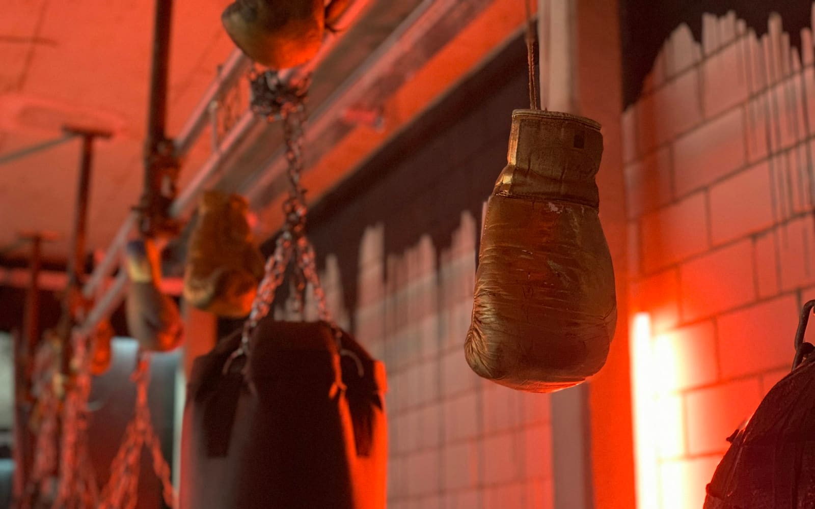 Worn gold boxing gloves hang from a rail beside heavy punching bags on chains in a gym lit red against white brick walls