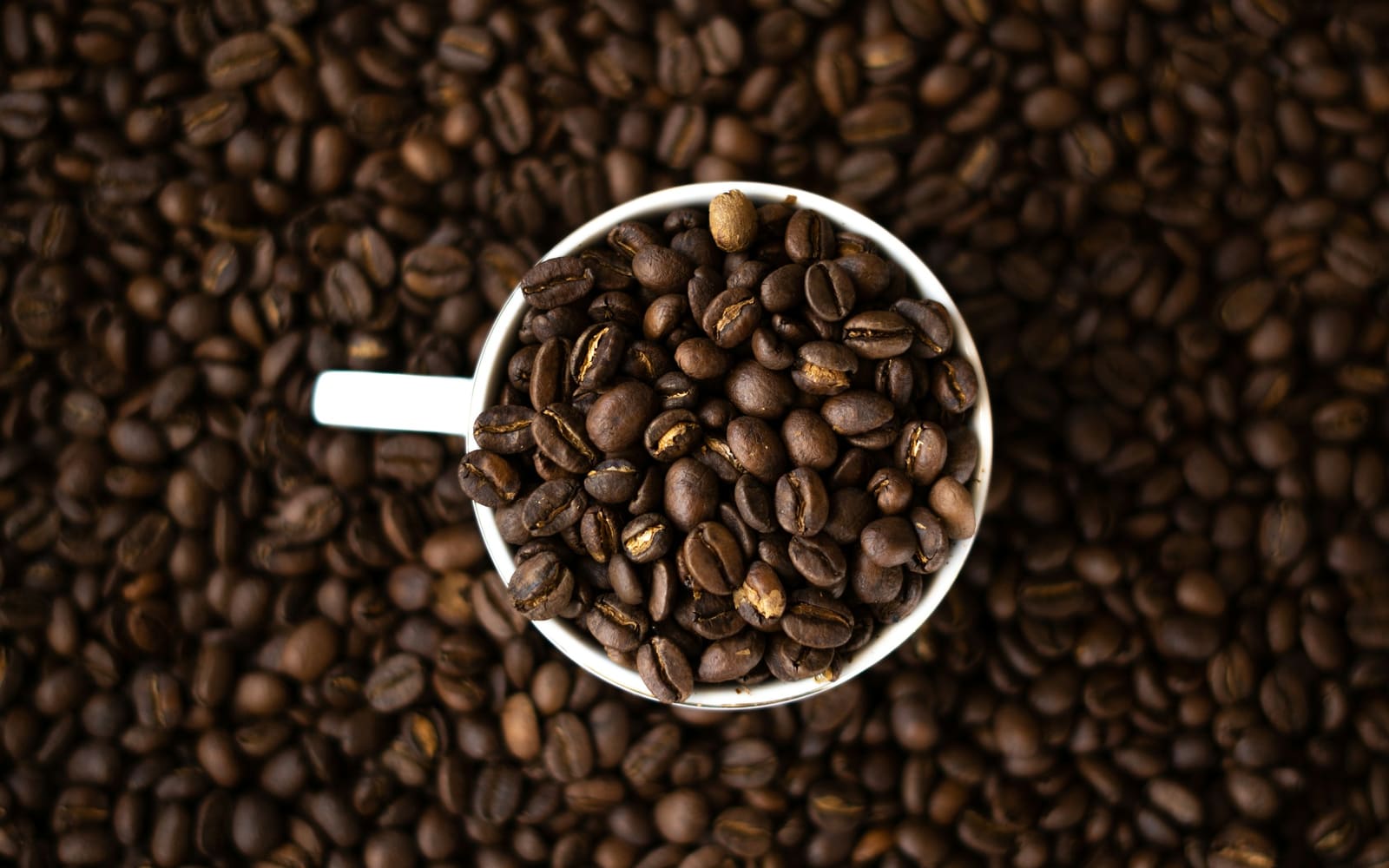 Overhead view of a white cup filled with dark roasted coffee beans, sitting in a bed of more beans that fills the whole frame