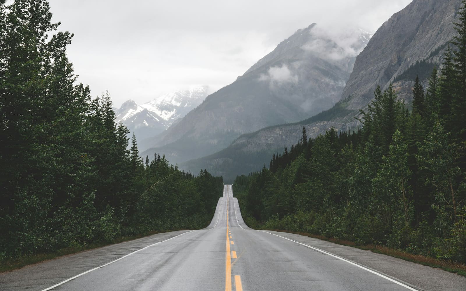 An empty two-lane road with a yellow center line runs between dark pine forest toward misty, snow-streaked mountains under a gray sky