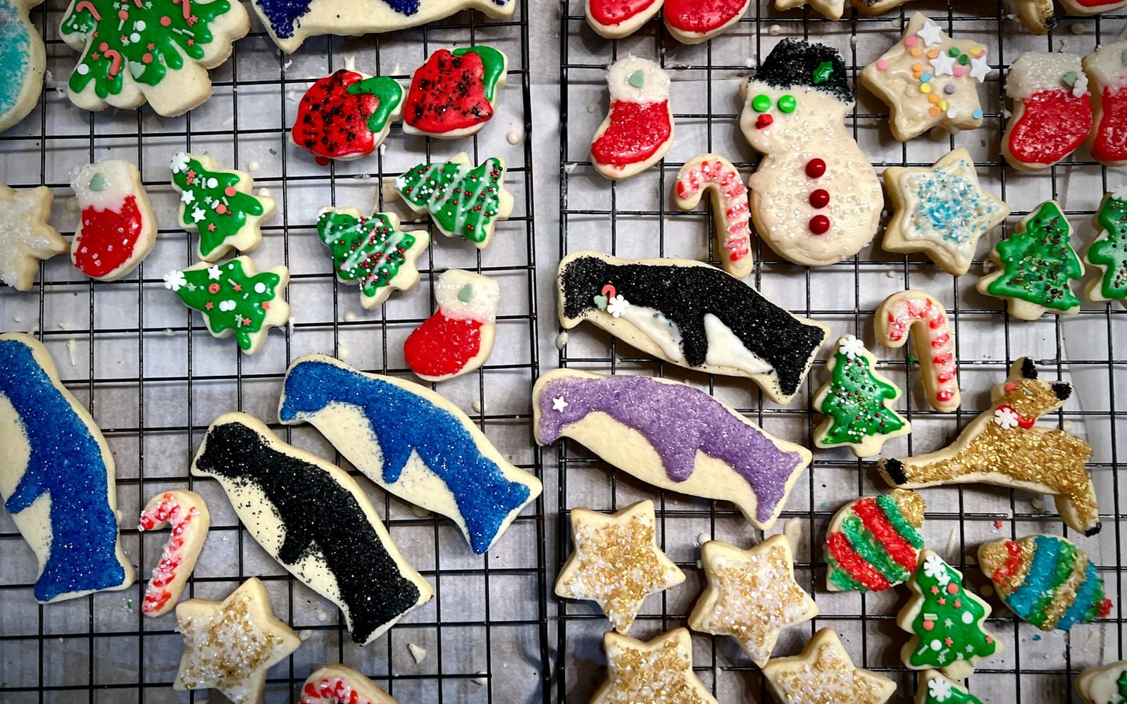 Iced sugar cookies shaped like penguins, stars, stockings, candy canes, trees and a snowman dry on black wire cooling racks over parchment