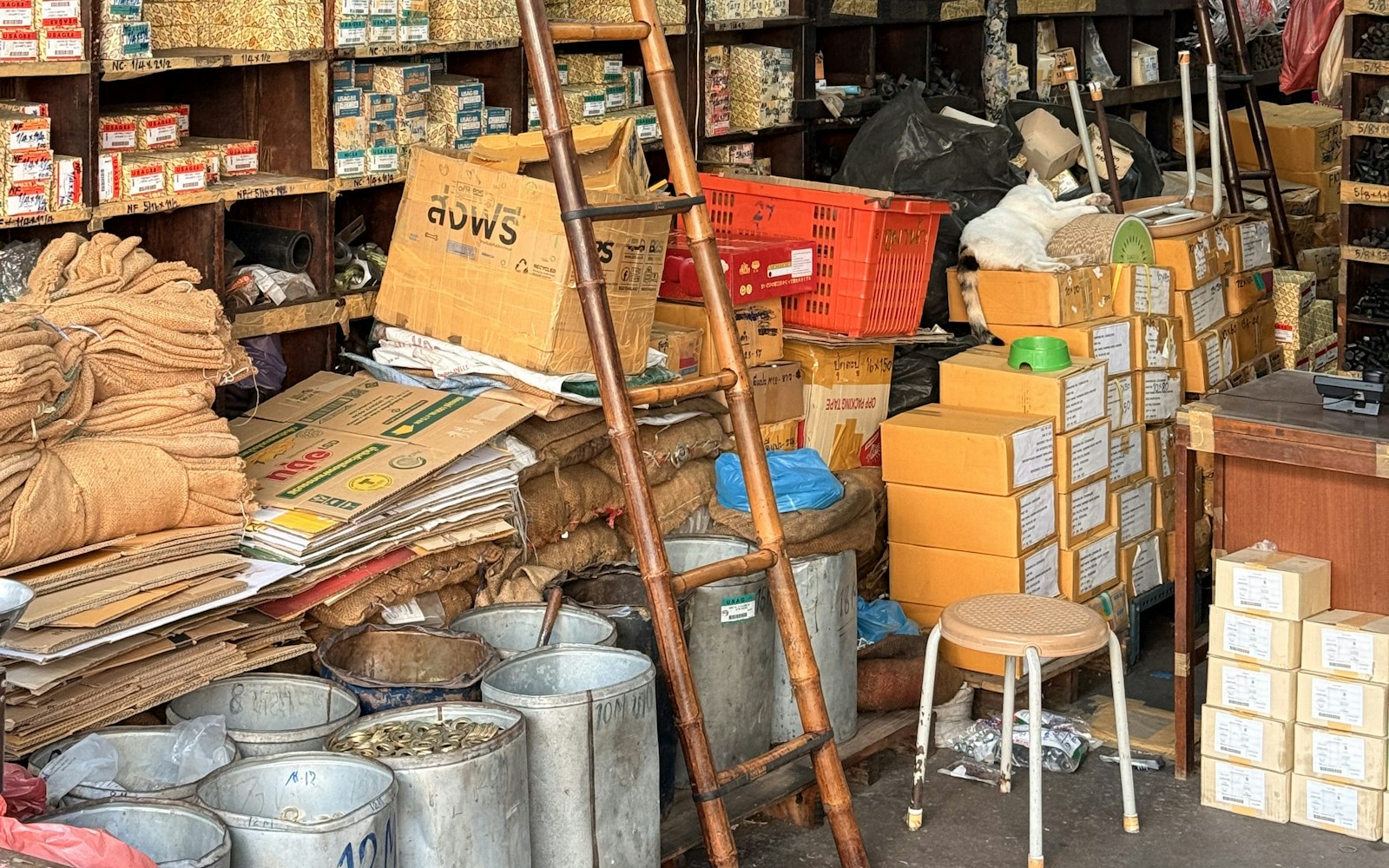 A crowded stockroom with wooden shelves of small labelled boxes, stacked cardboard cartons, metal bins, a bamboo ladder and a cat asleep on the boxes